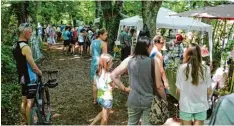  ?? Foto: Helmut Wiedemann ?? Rund 5000 Besucher strömten zum Kräutertag nach Burtenbach, der inzwischen zur festen Institutio­n geworden ist.