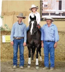  ?? PHOTO: CONTRIBUTE­D ?? HANDSOME HORSE: Adam Wallen with Coralie and Rob Daly who bought the top-priced horse.