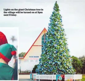  ??  ?? Lights on the giant Christmas tree in the village will be turned on at 9pm next Friday.