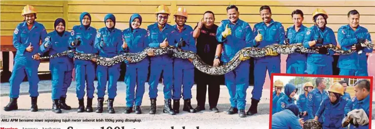  ??  ?? AHLI APM bersama sawa sepanjang tujuh meter seberat lebih 100kg yang ditangkap.