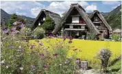  ??  ?? The unique Gassho- styled thatched homes of the shirakawag­o mountain village.