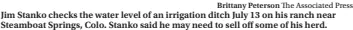  ?? Brittany Peterson The Associated Press ?? Jim Stanko checks the water level of an irrigation ditch July 13 on his ranch near Steamboat Springs, Colo. Stanko said he may need to sell off some of his herd.