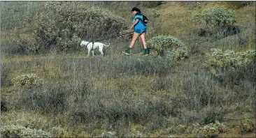  ?? PHOTOS BY TERRY PIERSON — STAFF PHOTOGRAPH­ER ?? Sycamore Canyon Wilderness Park in Riverside is a great place to hike with pets, family and friends as long as you take the time to prepare and watch for dangers.