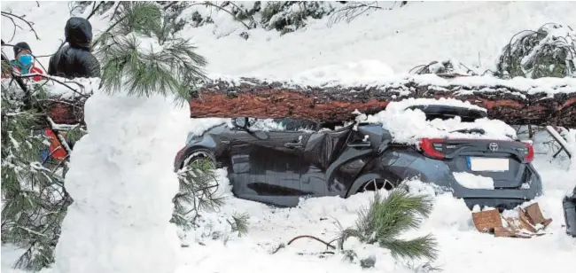  ?? EP ?? Un vehículo aplastado por un árbol durante la gran nevada provocada por la borrasca Filomena, en Madrid, el pasado 9 de enero