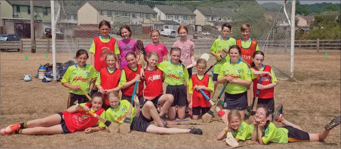  ??  ?? Avoca GAA Club members enjoying the Cúl Camp in the club last week. Photos: Paul Messitt