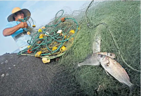  ?? ?? Ricardo Ayaucan, a fisherman, hauls the drift net aboard his tiny boat with the meager catch, top. Fishing boats moored in the port of Chorrillos, below