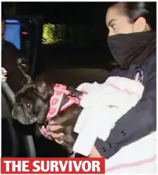  ??  ?? THE SURVIVOR
Unharmed: Miss Asia is carried from the police station in Hollywood by one of Lady Gaga’s staff