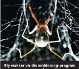  ?? ?? Bly wakker vir die middernag-program oor spinnekopp­e!