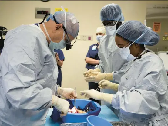  ?? MARK HUMPHREY/AP PHOTOS ?? Dr. Marty Sellers, from left, and students Emmanuel Kotey and Teresa Belledent examine a kidney after it was removed from a donor.