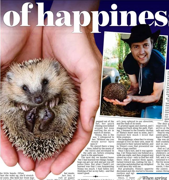  ??  ?? SPECIAL BOND: Massimo with one of his rescued hedgehogs. Main picture: A baby hedgehog being cared for