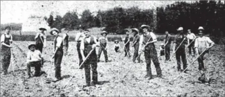  ?? TORONTO STAR FILE PHOTO ?? British youths work the field at Vimy Ridge Farm on Aug. 21, 1926. The farm was sold off in 1931.