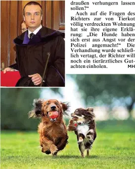  ??  ?? Nicht alle Hunde könne so glücklich herumtoben. Oben: Richter Clemens Hödlmoser verhandelt wegen Tierquäler­ei.