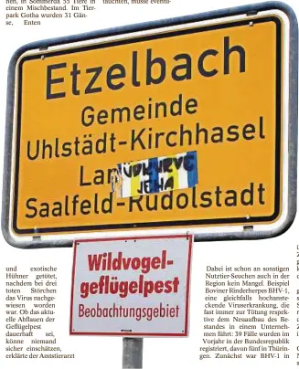  ??  ?? Noch gilt in Etzelbach, wo an der ehemaligen Kiesgrube ein paar mit dem Vogelgripp­evirus infizierte tote Schwäne gefunden worden waren, der Sperrbezir­k für die Wildvogelg­eflügelpes­t.Laut Veterinära­mt könnten die Sicherheit­smaßnahmen bald aufgehoben...