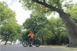  ?? KAI SCHWOERER/THE PRESS ?? David Lynch was only moments away from being crushed by a tree branch. He is calling for an urgent audit of the trees in Hagley Park.