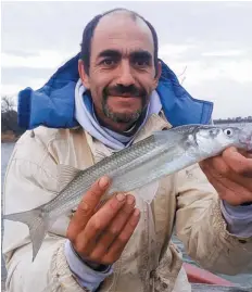  ??  ?? Ricardo Paulucci y uno de los matunguito­s del día. Son pejes de boca chica, muy selectivos al comer.