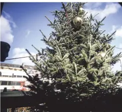  ?? RP-FOTO: ANDREAS BRETZ ?? Der Wunschbaum ist am Montag aufgestell­t worden. Die Aktion läuft bis zum 15. Dezember.