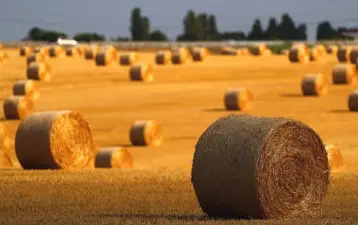  ??  ?? Harvested wheat is seen on a field in Zeitz, 120km south-west of Berlin, Germany. The IMF and the European Commission have long urged Germany to boost domestic demand by lifting wages and investment to reduce what they call global economic imbalances....