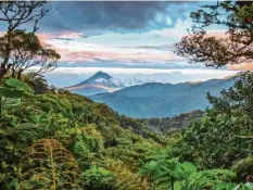  ?? Fotos: Adobe Stock ?? Mit Faultieren abhängen, im Regenwald abtauchen: Landschaft und Natur in Costa Rica sind fasziniere­nd.