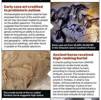  ??  ?? The ornate burial of the so-called Tombos horse suggests high status Early cave art from 32,000– 30,000 BC in the Chauvet cave in southern France