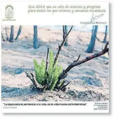  ??  ?? Los mejores
deseos. La presidenta andaluza, Susana Díaz, compartió desde su cuenta de Twitter una felicitaci­ón para el 2018 con la imagen de un brote verde en la zona del incendio de Doñana, la Duna del Asperillo, y una cita del escritor argentino...