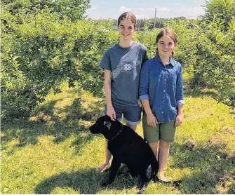  ?? CONTRIBUTE­D ?? Nina Tubman, 12 and her sister Beth Tubman, 11, with their dog Sara, at their home farm in Inverness. The sisters were the first two to enter the Rural Communitie­s Foundation of Nova Scotia’s youth art contest, to promote the beauty of the province.