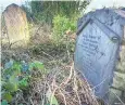  ??  ?? Camberwell Old Cemetery could be a test case for space-poor councils across the UK