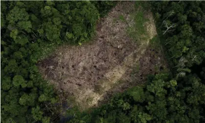  ?? ?? Deforestat­ion and the destructio­n of habitats in Amazon, Colombia, as seen in March 2023. Photograph: Anadolu Agency/Getty Images