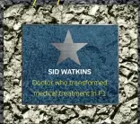  ??  ?? SID WATKINS
Doctor who transforme­d medical treatment in F1