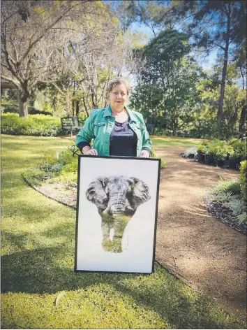  ?? PHOTO: DUBBO PHOTO NEWS ?? Founder of the Holland Open Garden Lorraine Holland with last year’s Memory Makers Art Prize. The winner Anna Dixon painted an Elephant Never Forgets to contribute to the theme.