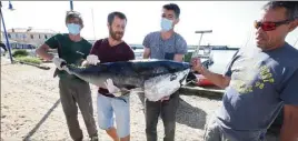  ?? (Photo Luc Boutria) ?? Les pêcheurs des Salins d’Hyères et Pierre Morera (à droite) se réjouissen­t de la recrudesce­nce de thons rouges en Méditerran­ée et militent pour des quotas plus équitables pour les petits patrons pêcheurs.