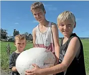  ?? LUKE KIRKEBY/ FAIRFAX NZ ?? From left Mitchell, Zaid, and Blake Mcfarland with the giant puffball found on their Tokoroa farm.