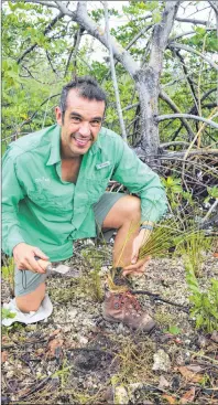  ?? STEVE MACNAULL PHOTO ?? Frost Museum of Science curator of field conservati­on Fernando Bretos plants cord grass in the mangrove along the Oleta River in Miami.