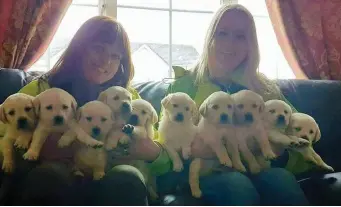  ??  ?? Puppies galore- Trainer Karen Duke (right) along with Cliona O’Rourke (left) of My Canine Companion (Autism Service Dogs) with their newest additions - the S Family - Skye, Sally, Sofia, Stacey, Susie, Snoopy, Stitch, Samson, Stan and Stephen.