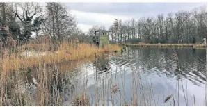  ?? FOTO: HERIBERT BRINKMANN ?? Das Rohrdommel­projekt bei Leuth ist ein Biotop, das unter Reichmanns Ägide entstanden ist.