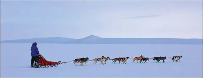  ?? Photo by Megan Gannon ?? MUSHING IN FRONT OF ARMY PEAK— Nils Hahn and his 12-dog team travel the trail.