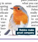  ??  ?? Robins make great company