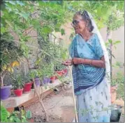  ?? HT ?? A woman attending to her kitchen garden at her home in Prayagraj.