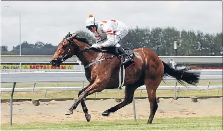  ??  ?? Racing ahead: Unbeaten filly Bounding (Vinnie Colgan), the leading fancy for Saturday’s J Swap Contractor­s Matamata Breeders’ Stakes.