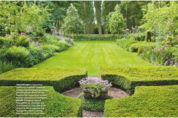  ??  ?? THIS PICTURE A clipped box quattrocen­to garden, based on a design Sarina found in an antique gardening book, draws the eye between the herbaceous borders to a stand of mature trees beyond.
BELOW The highly fragrant
Rosa gallica var. officinali­s...