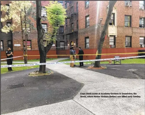  ?? AUSTIN FENNER / NEW YORK DAILY NEWS ?? Cops check scene at Academy Gardens in Soundview, the Bronx, where Nestor Ventura (below) was killed early Sunday.