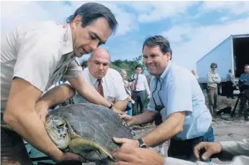  ?? ORLANDO SENTINEL FILE ?? Biology professor Llew “Doc” Ehrhart and others prepare to release a green sea turtle at the Merritt Island National Wildlife Refuge in 1990. Ehrhart recently died at age 79.