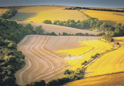  ??  ?? Dominic Vacher’s photograph is entitled ‘Race Against Time’