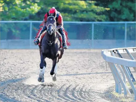  ?? Rob Carr Getty Images ?? “I’VE SAID all along that [Classic Empire is] probably the most intelligen­t horse that I’ve ever been around,” a trainer asserts.