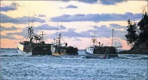  ?? CP PHOTO/ANDREW VAUGHAN ?? Fishing boats loaded with lobster traps head from Eastern Passage, N.S., as the fall lobster season in southweste­rn Nova Scotia gets underway in this file photo. There is growing tension between lobster fishermen in southweste­rn Nova Scotia over the...