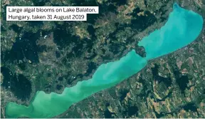  ?? ?? Large algal blooms on Lake Balaton, Hungary, taken 31 August 2019