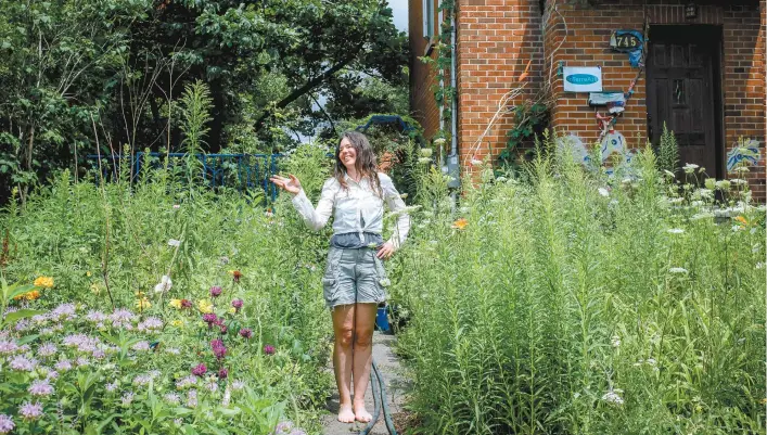  ?? VALÉRIAN MAZATAUD LE DEVOIR ?? Une végétation diversifié­e s’empare du terrain de Nicole Fournier, qui y soigne des plants comme des interventi­ons artistique­s.