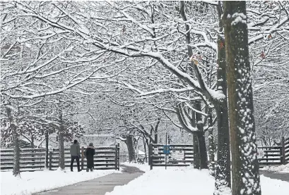  ?? RENÉ JOHNSTON TORONTO STAR ?? This peaceful wintry scene at High Park Monday belies the chaos of morning rush hour as a result of Sunday’s storm.