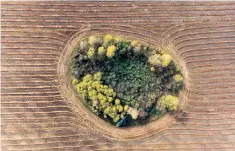  ??  ?? Green fingers: farmland surrounds an enclave of trees in the Pervomaisk area, Siberia