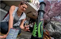  ?? PHOTO: WARWICK SMITH/STUFF ?? Keli Jarvis paints old street bollards in Coleman Mall as part of the Palmerston North Blossom Festival.