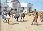  ?? HT PHOTO ?? A group of men tries to tame a bull in Madurai.